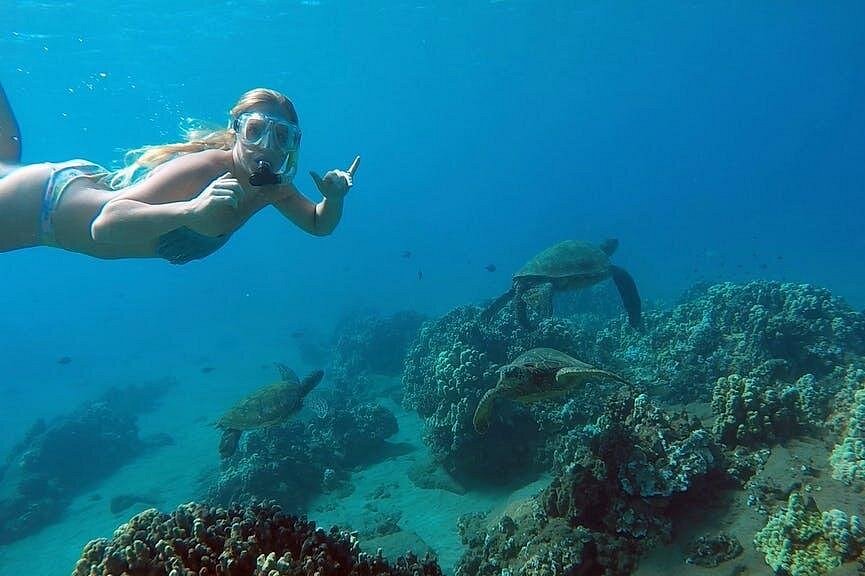 Culebra Island Flamenco Beach Snorkeling