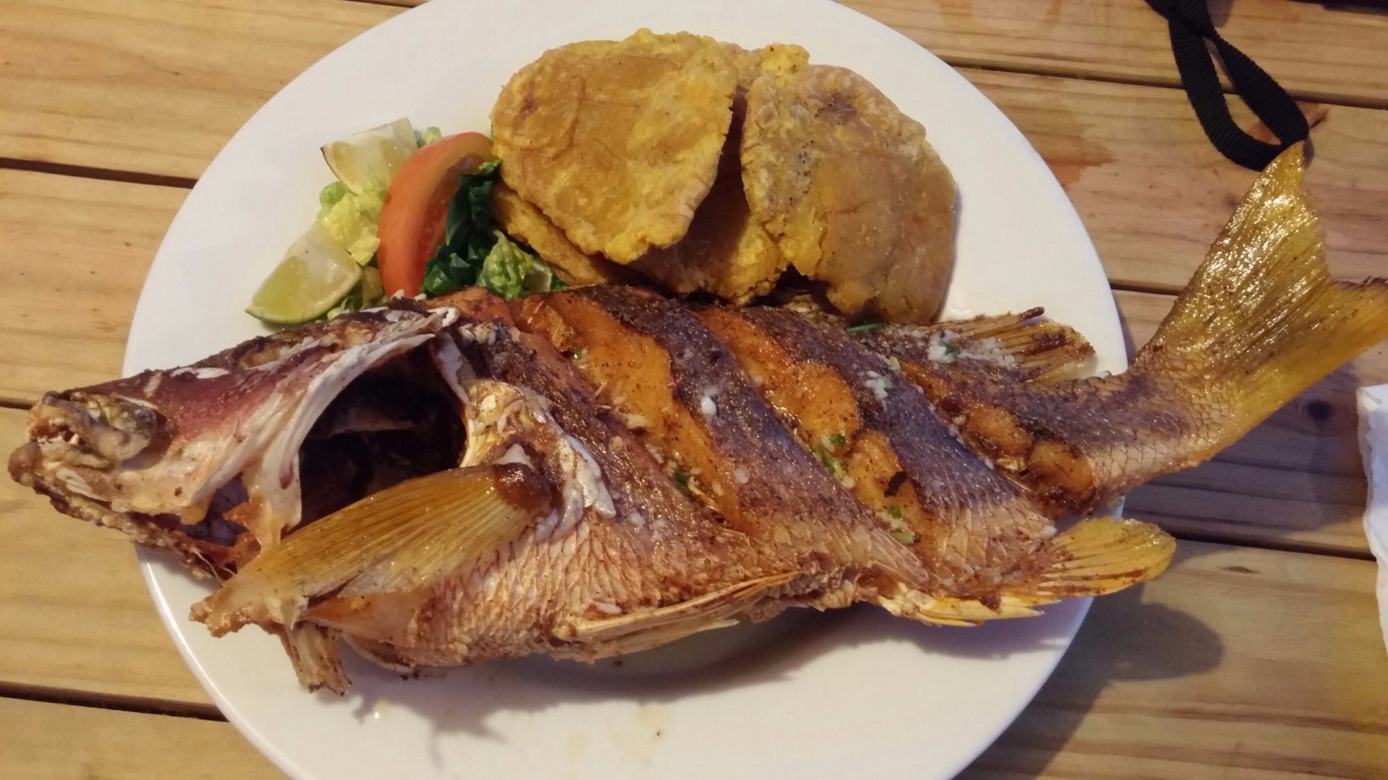 Krusty Crab Culebra Island Flamenco Beach Fish