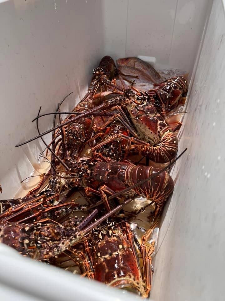 La Cocina Del Navegante Culebra Island Flamenco Beach Lobster