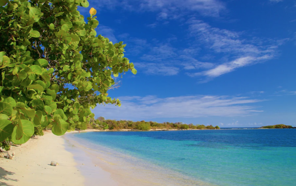 Vieques Island La Chiva Beach Puerto Rico
