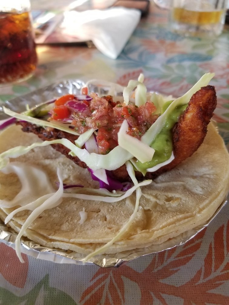 Zacos Tacos Culbra Island Flamenco Beach Fish Taco
